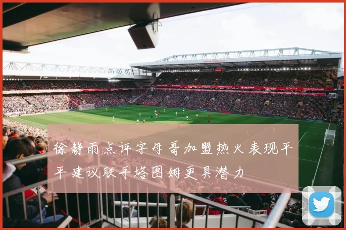 徐静雨点评字母哥加盟热火表现平平建议联手塔图姆更具潜力